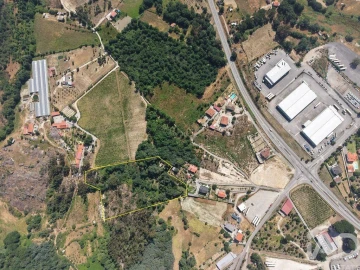 Quinta para Venda em Mangualde, Mesquitela e Cunha Alta