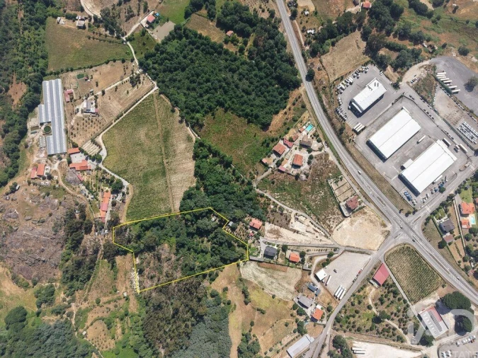 Quinta para Venda em Mangualde, Mesquitela e Cunha Alta Foto 2
