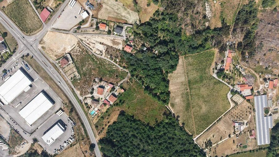 Quinta para Venda em Mangualde, Mesquitela e Cunha Alta