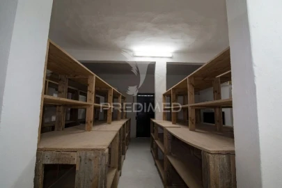 Armazém para Venda em Pechão