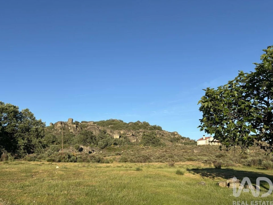 Terreno para Venda em Monsanto e Idanha-A-Velha Foto 18