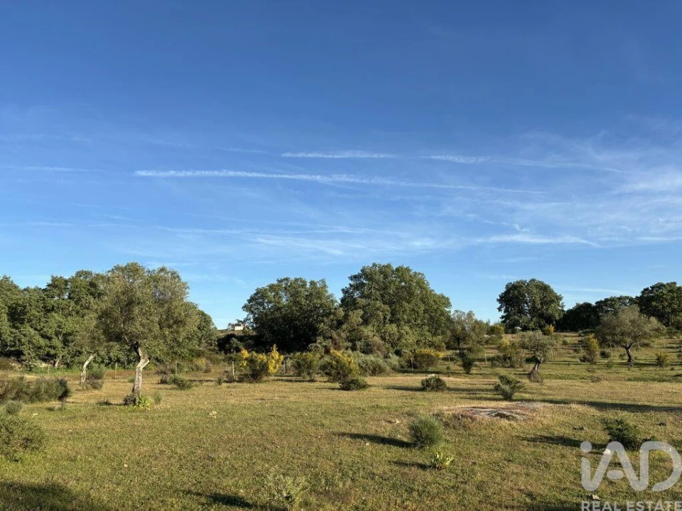 Terreno para Venda em Monsanto e Idanha-A-Velha Foto 26