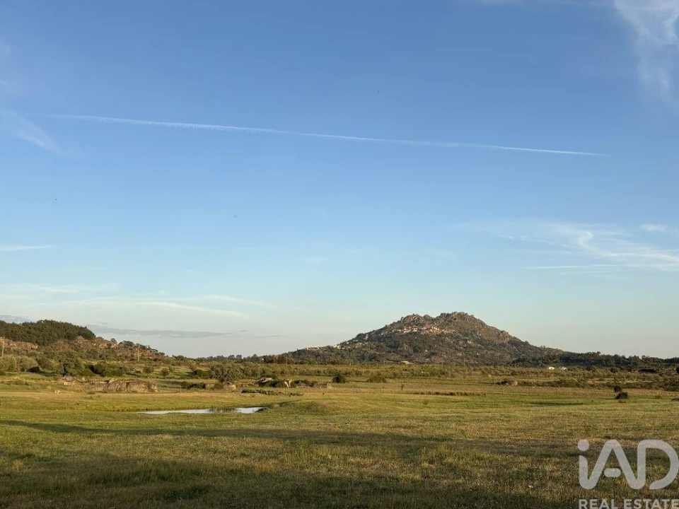 Terreno para Venda em Monsanto e Idanha-A-Velha Foto 8