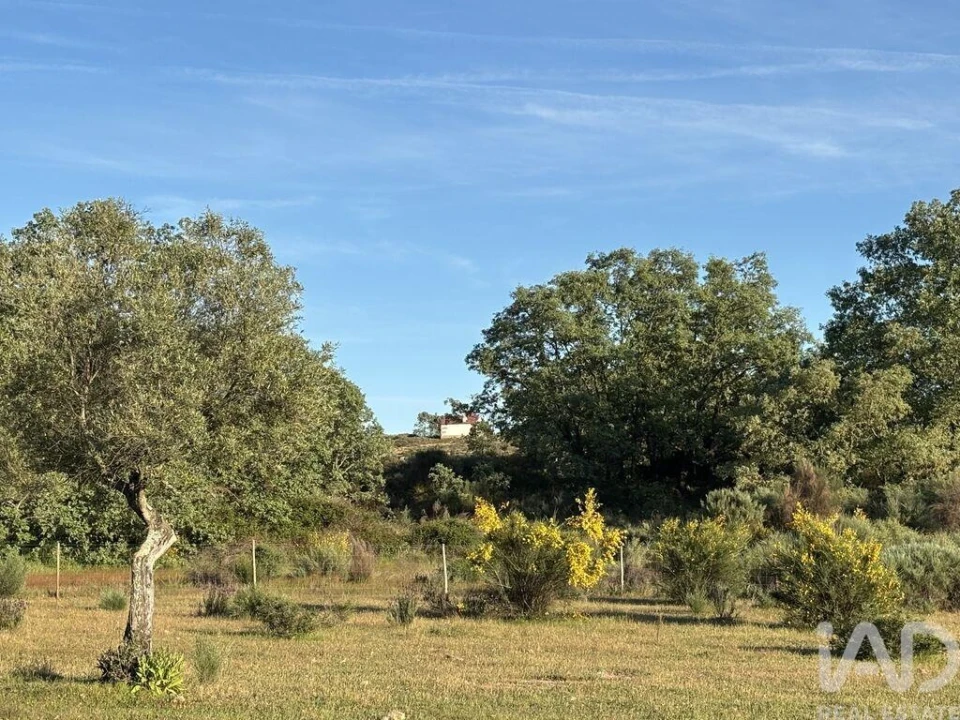 Terreno para Venda em Monsanto e Idanha-A-Velha Foto 25