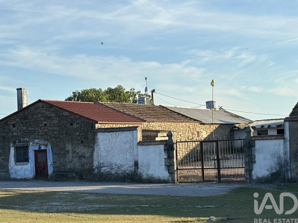 Terreno para Venda em Monsanto e Idanha-A-Velha Foto 2