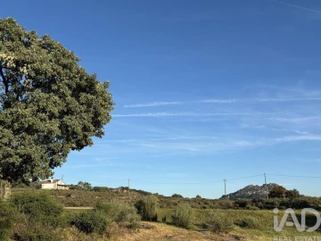 Terreno para Venda em Monsanto e Idanha-A-Velha