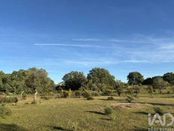Terreno para Venda em Monsanto e Idanha-A-Velha