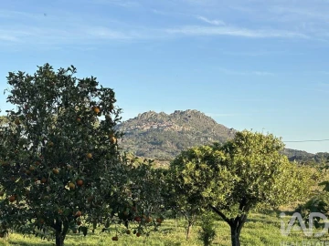 Terreno para Venda em Monsanto e Idanha-A-Velha