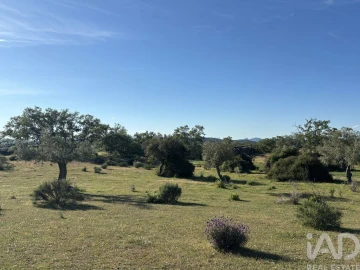 Terreno para Venda em Monsanto e Idanha-A-Velha