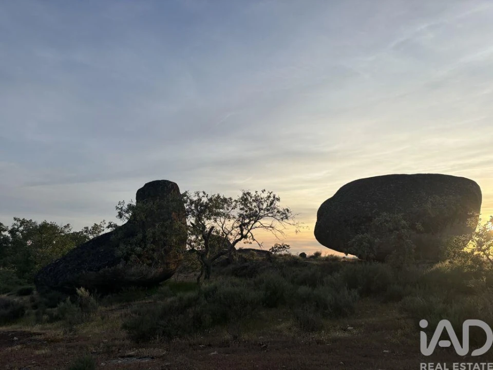 Terreno para Venda em Monsanto e Idanha-A-Velha Foto 20