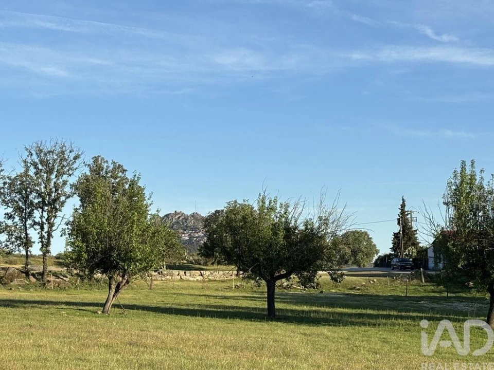 Terreno para Venda em Monsanto e Idanha-A-Velha Foto 3