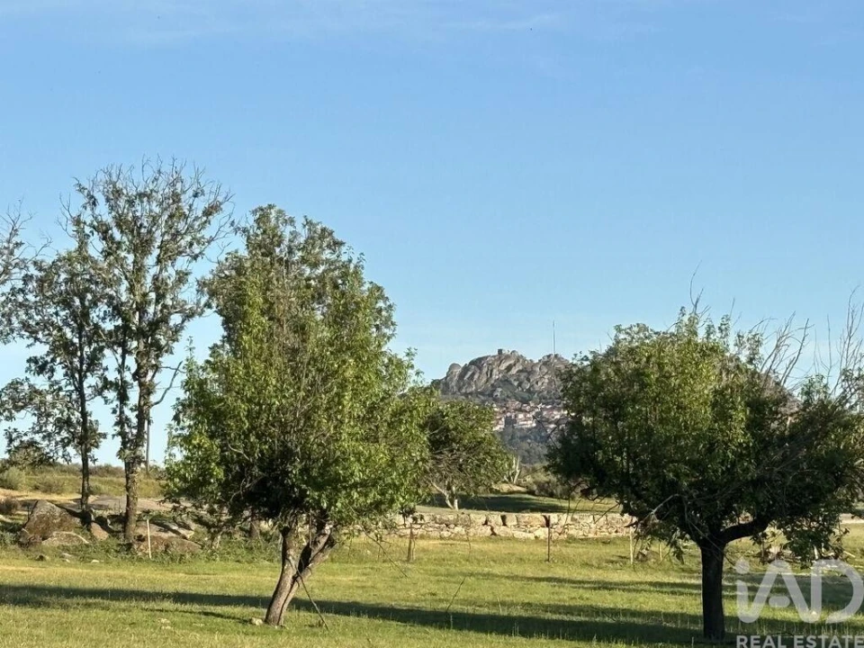 Terreno para Venda em Monsanto e Idanha-A-Velha Foto 19