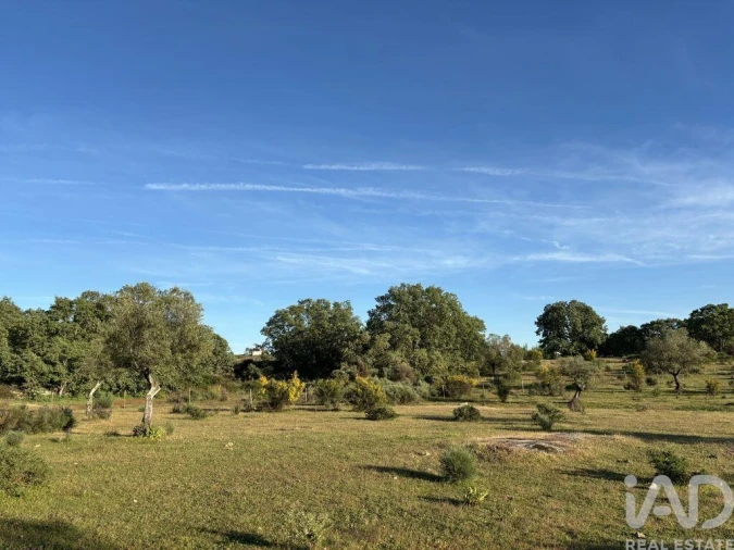 Terreno para Venda em Monsanto e Idanha-A-Velha Foto 26