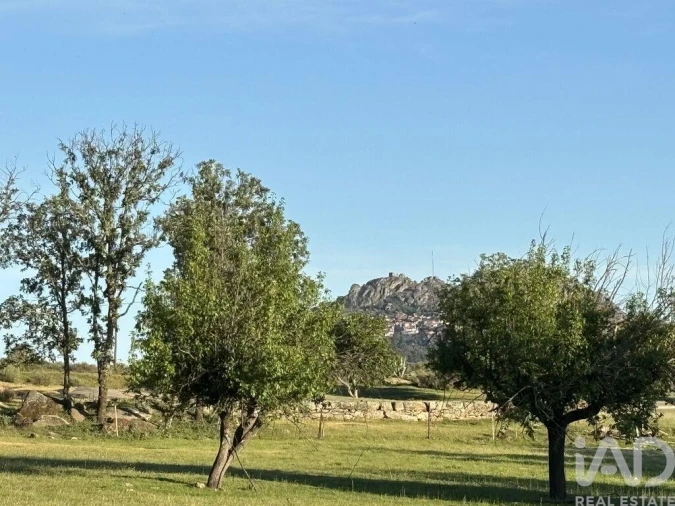 Terreno para Venda em Monsanto e Idanha-A-Velha Foto 19