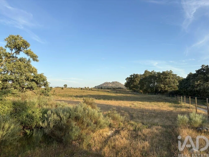 Terreno para Venda em Monsanto e Idanha-A-Velha Foto 9