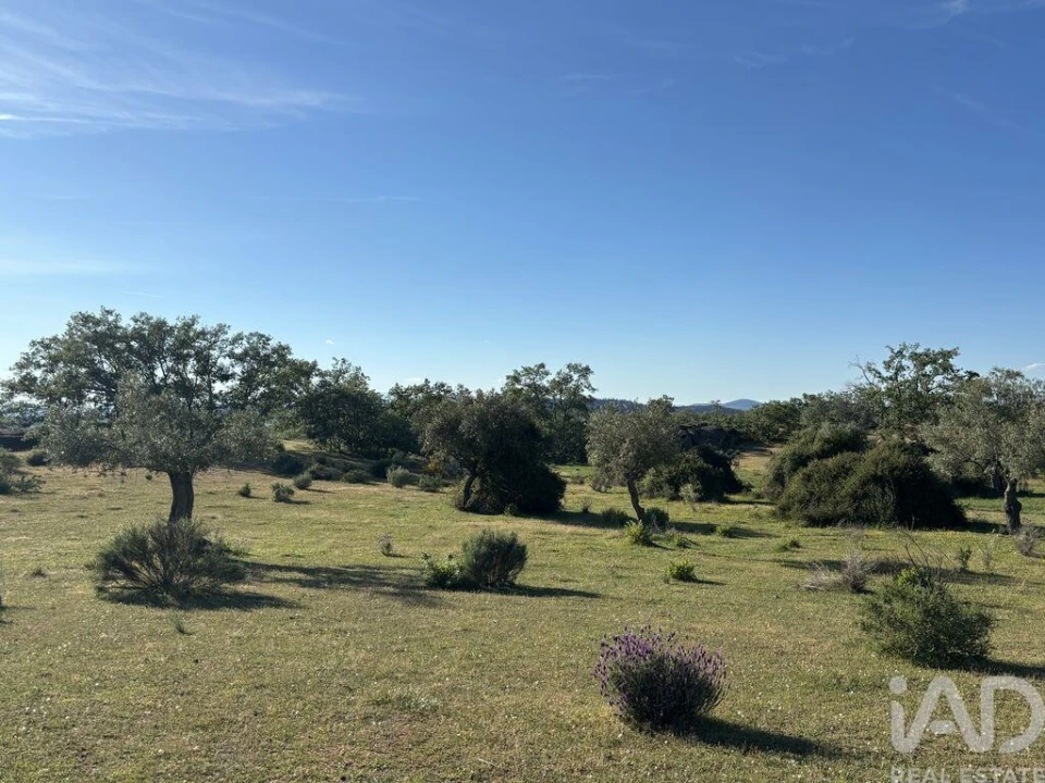 Terreno para Venda em Monsanto e Idanha-A-Velha Foto 17