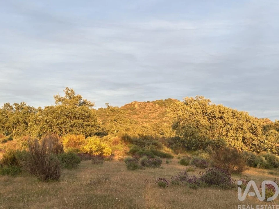 Terreno para Venda em Monsanto e Idanha-A-Velha Foto 7