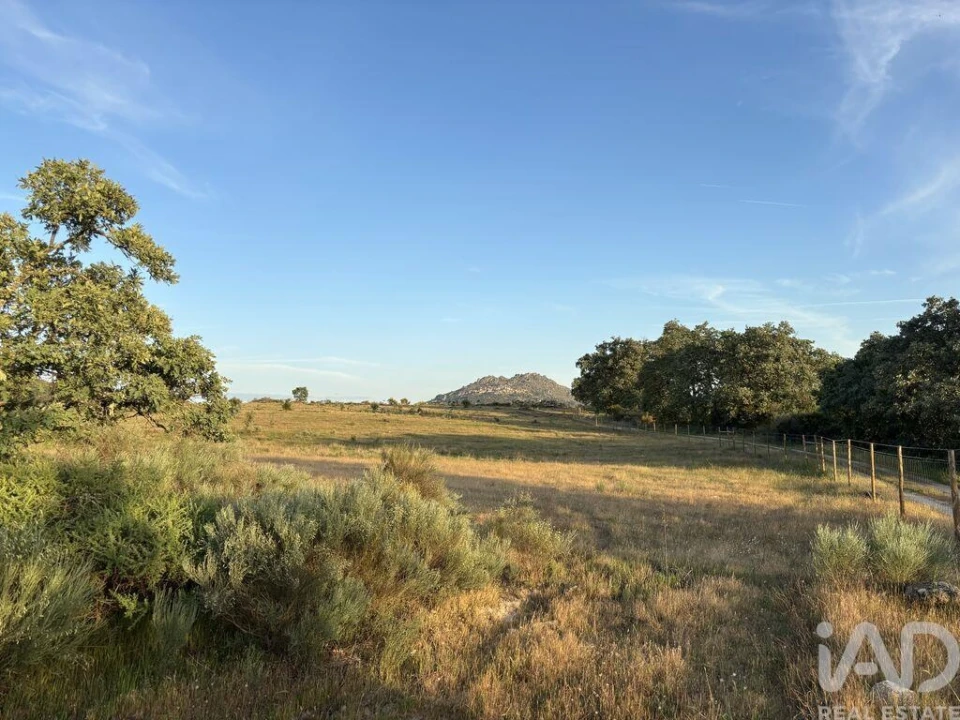 Terreno para Venda em Monsanto e Idanha-A-Velha Foto 9