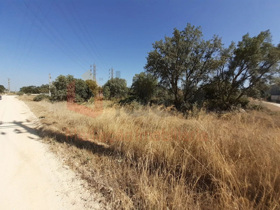 Terreno Agricola ou Rústico para Venda em Pinhal Novo Foto 2