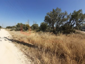 Terreno Agricola ou Rústico para Venda em Pinhal Novo