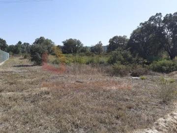Terreno Agricola ou Rústico para Venda em Pinhal Novo
