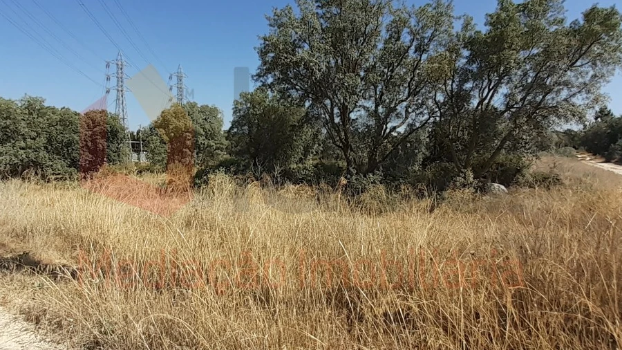 Terreno Agricola ou Rústico para Venda em Pinhal Novo