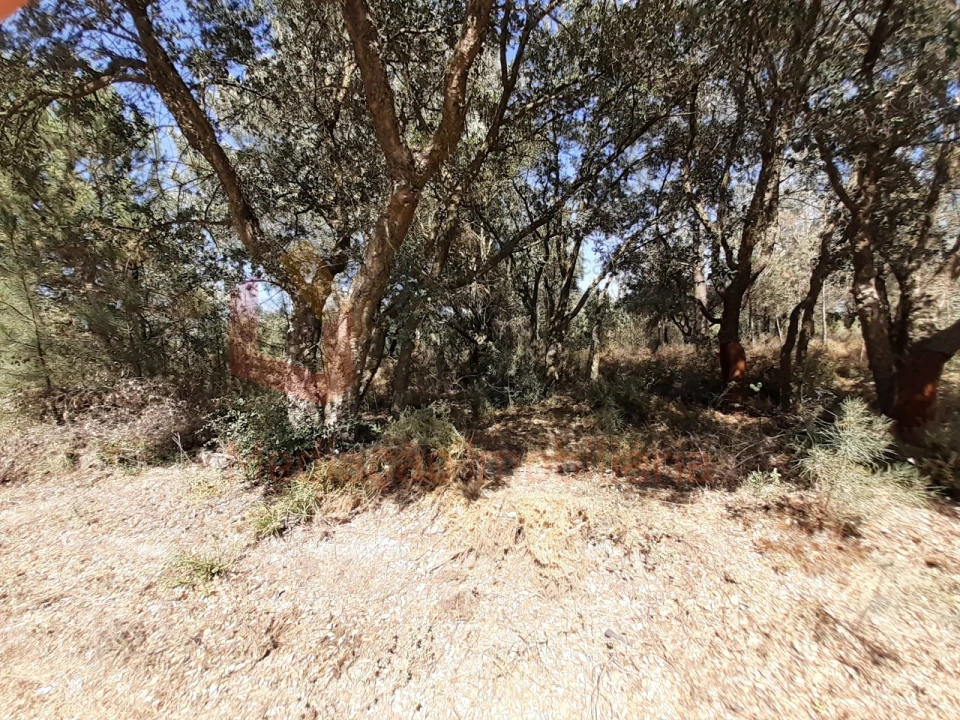 Terreno Agricola ou Rústico para Venda em Pinhal Novo Foto 4
