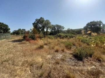 Terreno Agricola ou Rústico para Venda em Pinhal Novo