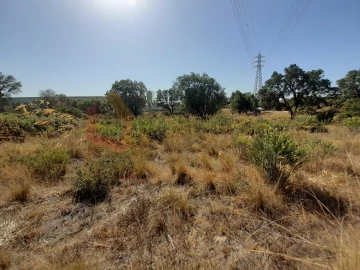 Terreno Agricola ou Rústico para Venda em Pinhal Novo