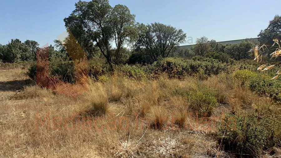 Terreno Agricola ou Rústico para Venda em Pinhal Novo
