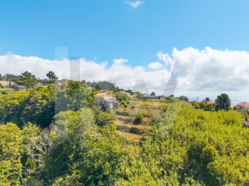 Terreno para Venda em Gaula