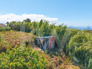 Terreno para Venda em Gaula
