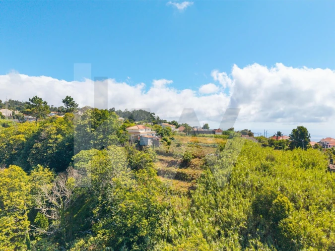 Terreno para Venda em Gaula Foto 2