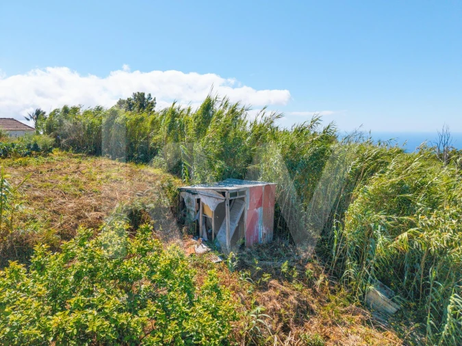 Terreno para Venda em Gaula Foto 11