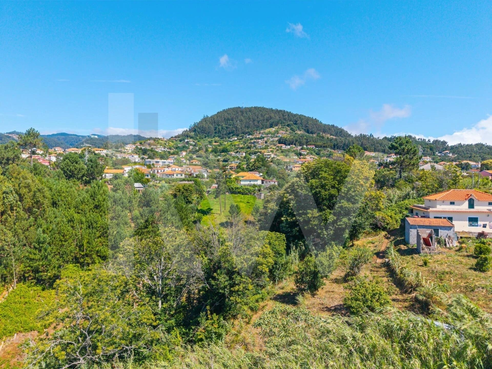 Terreno para Venda em Gaula Foto 12