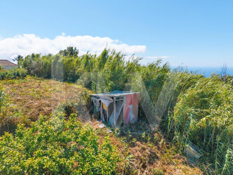 Terreno para Venda em Gaula Foto 11