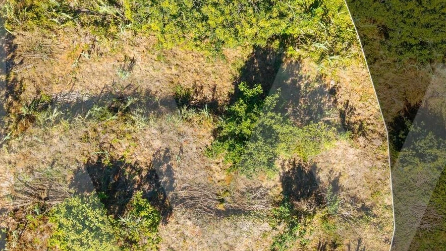 Terreno para Venda em Gaula