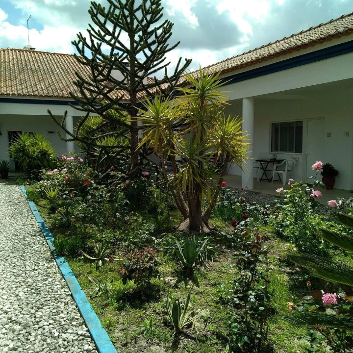 Quinta T8 para Venda em Landeira Foto 5