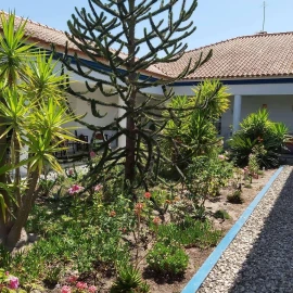 Quinta T8 para Venda em Landeira