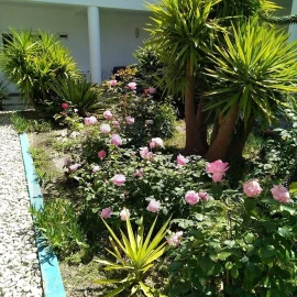 Quinta T8 para Venda em Landeira