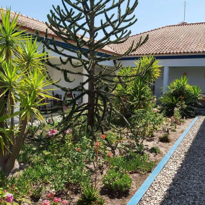 Quinta T8 para Venda em Landeira Foto 13