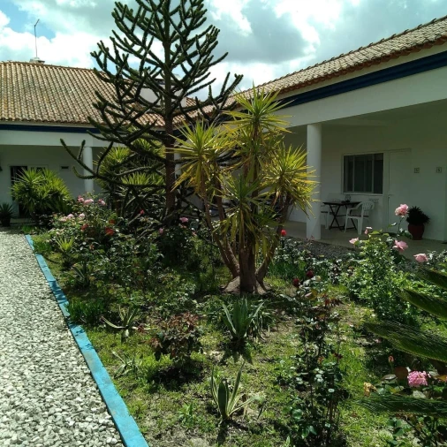 Quinta T8 para Venda em Landeira Foto 5