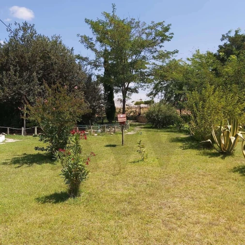 Quinta T8 para Venda em Landeira Foto 15