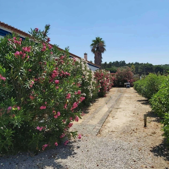 Quinta T8 para Venda em Landeira Foto 14