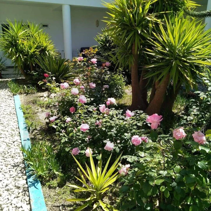 Quinta T8 para Venda em Landeira Foto 4