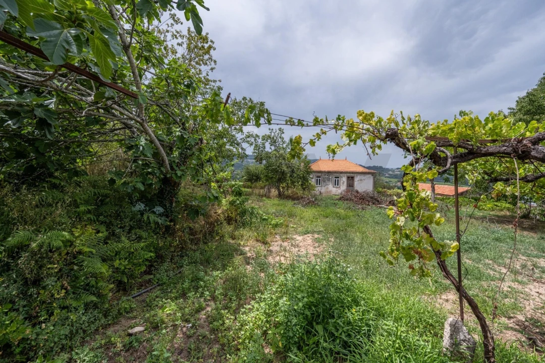 Quinta T3 para Venda em Fontoura Foto 20