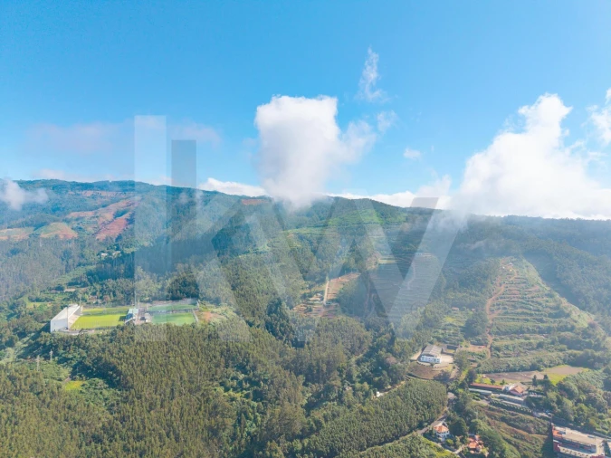 Terreno para Venda em São Gonçalo Foto 5