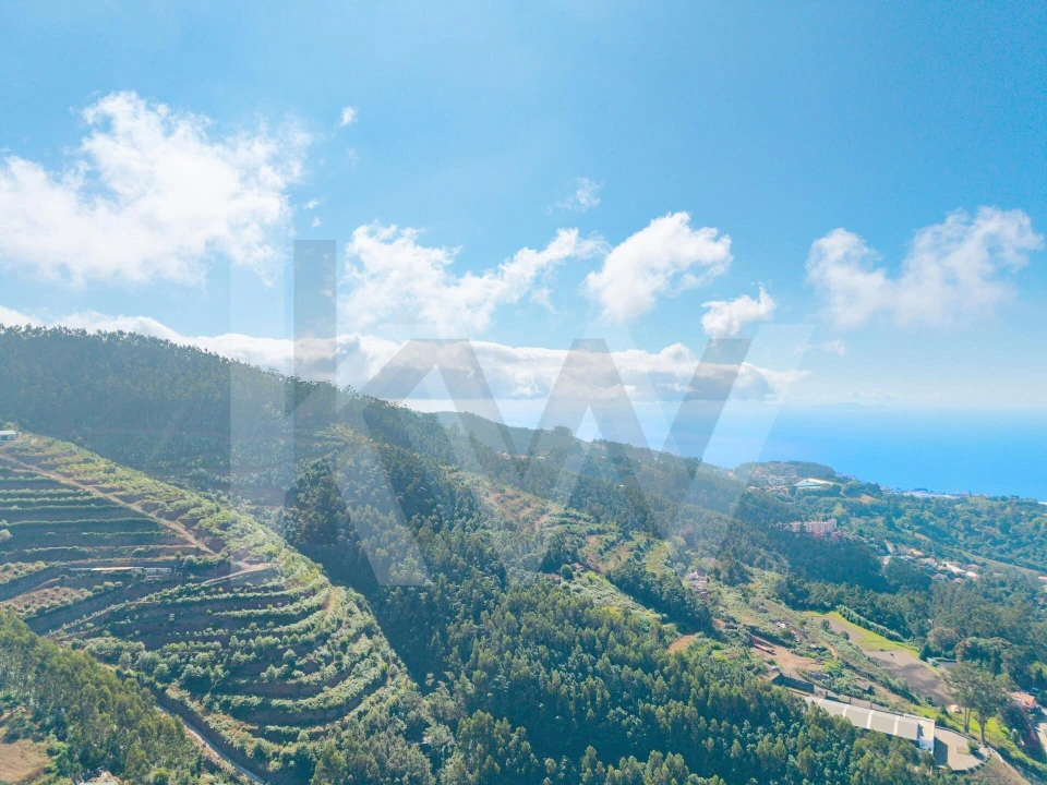 Terreno para Venda em São Gonçalo Foto 11