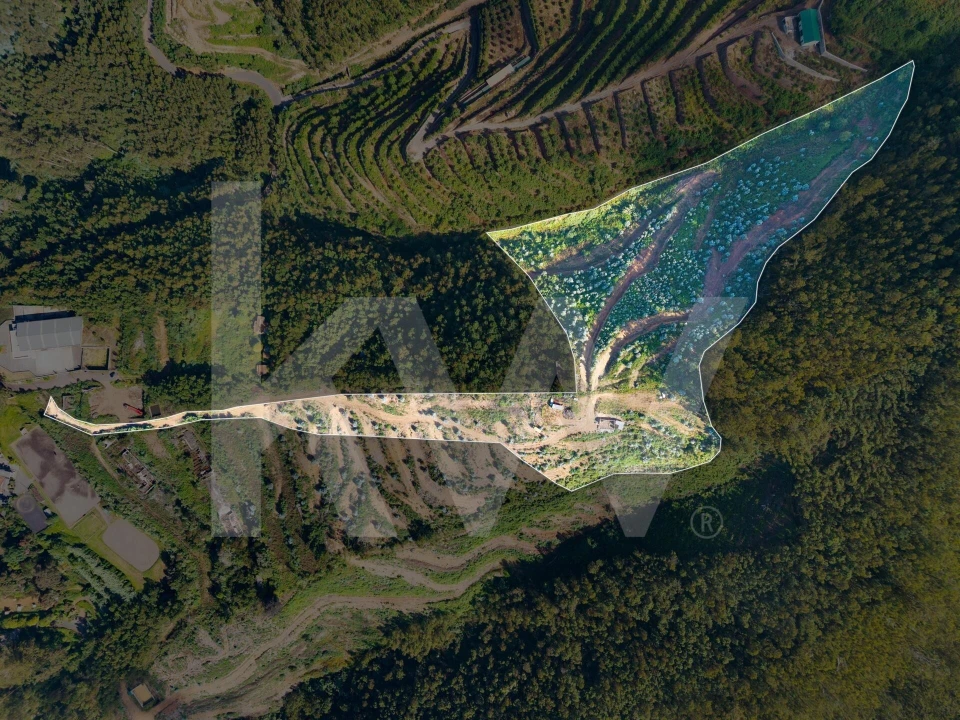 Terreno para Venda em São Gonçalo Foto 10