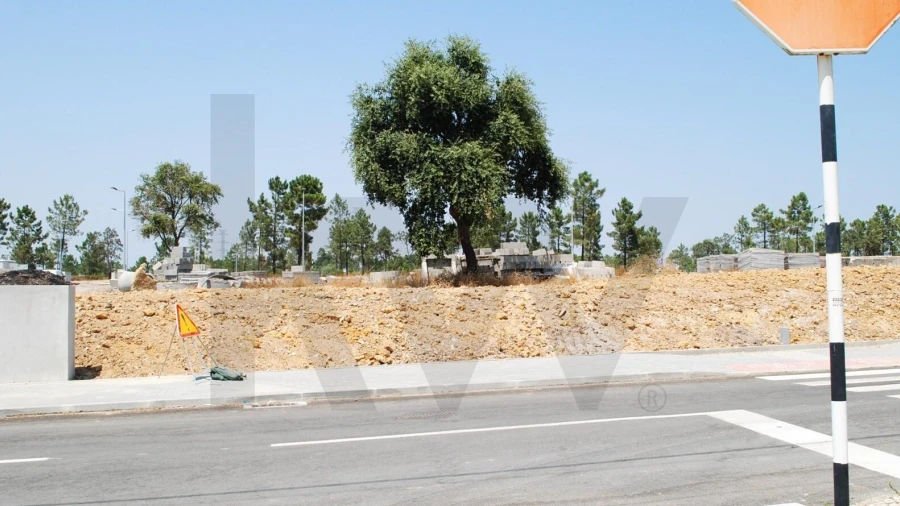 Terreno para Venda em Amora
